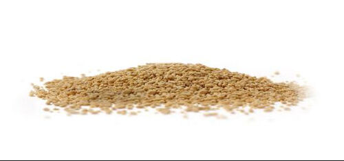 के बारे में नवीनतम कंपनी समाचार फार्मास्युटिकल निर्माण में दानेदार बनाने की प्रक्रिया