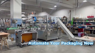 ZH100 वर्टिकल रोटरी कार्टोनिंग मशीन